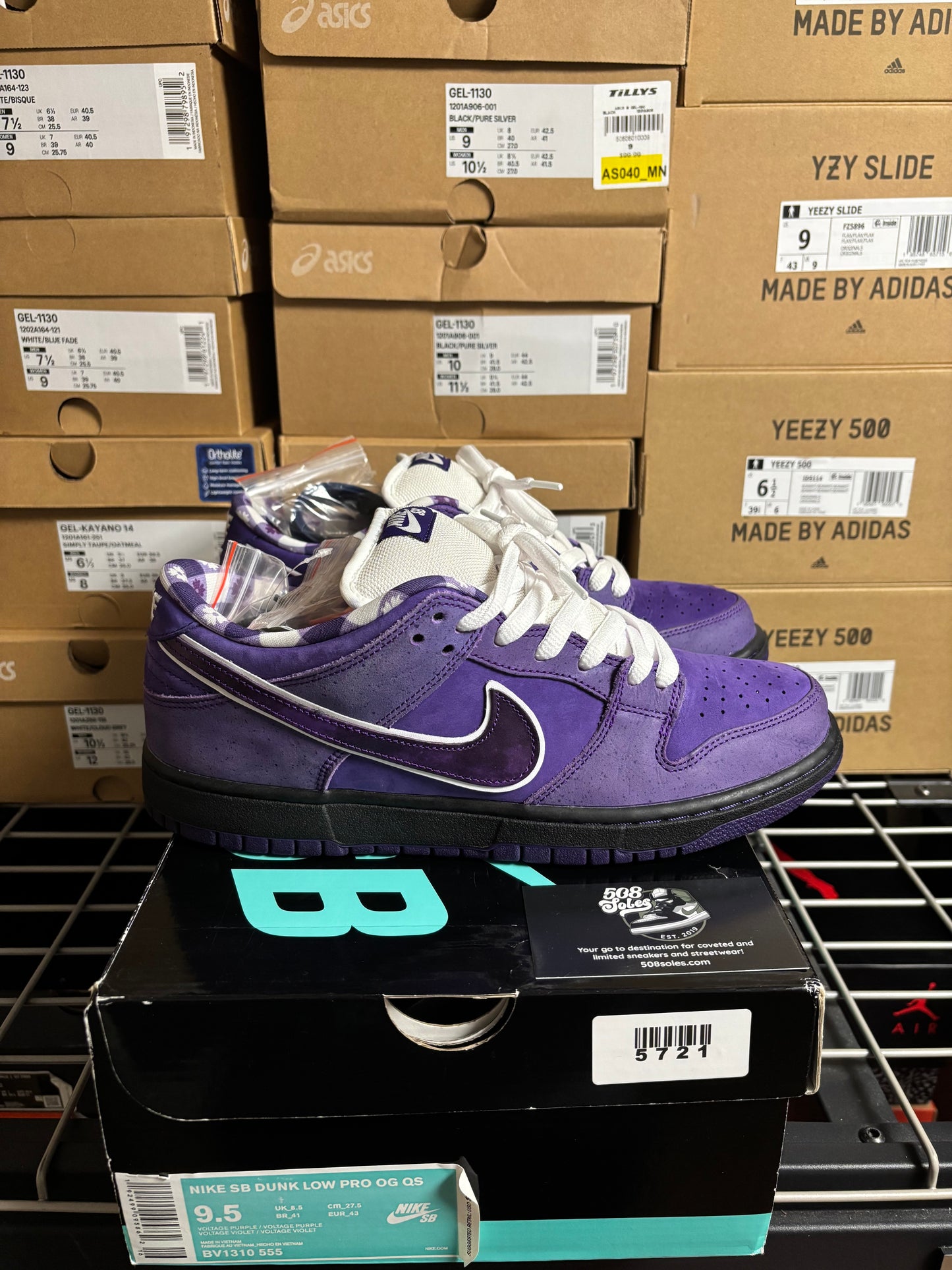 Concepts x Nike SB Dunk Low Purple Lobster Pre-Owned