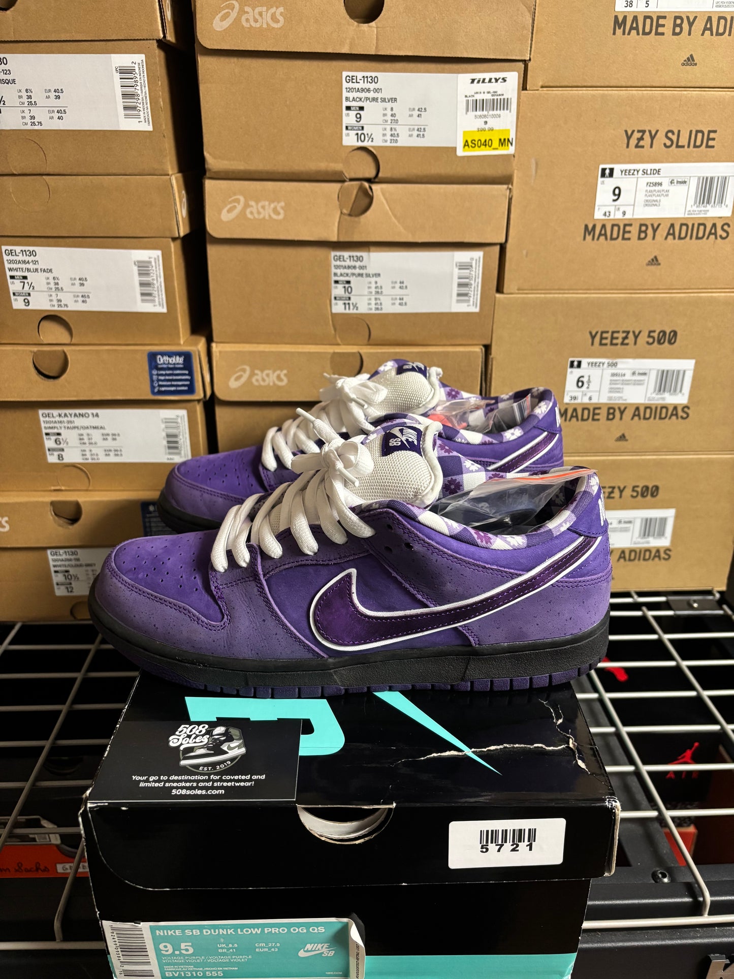 Concepts x Nike SB Dunk Low Purple Lobster Pre-Owned