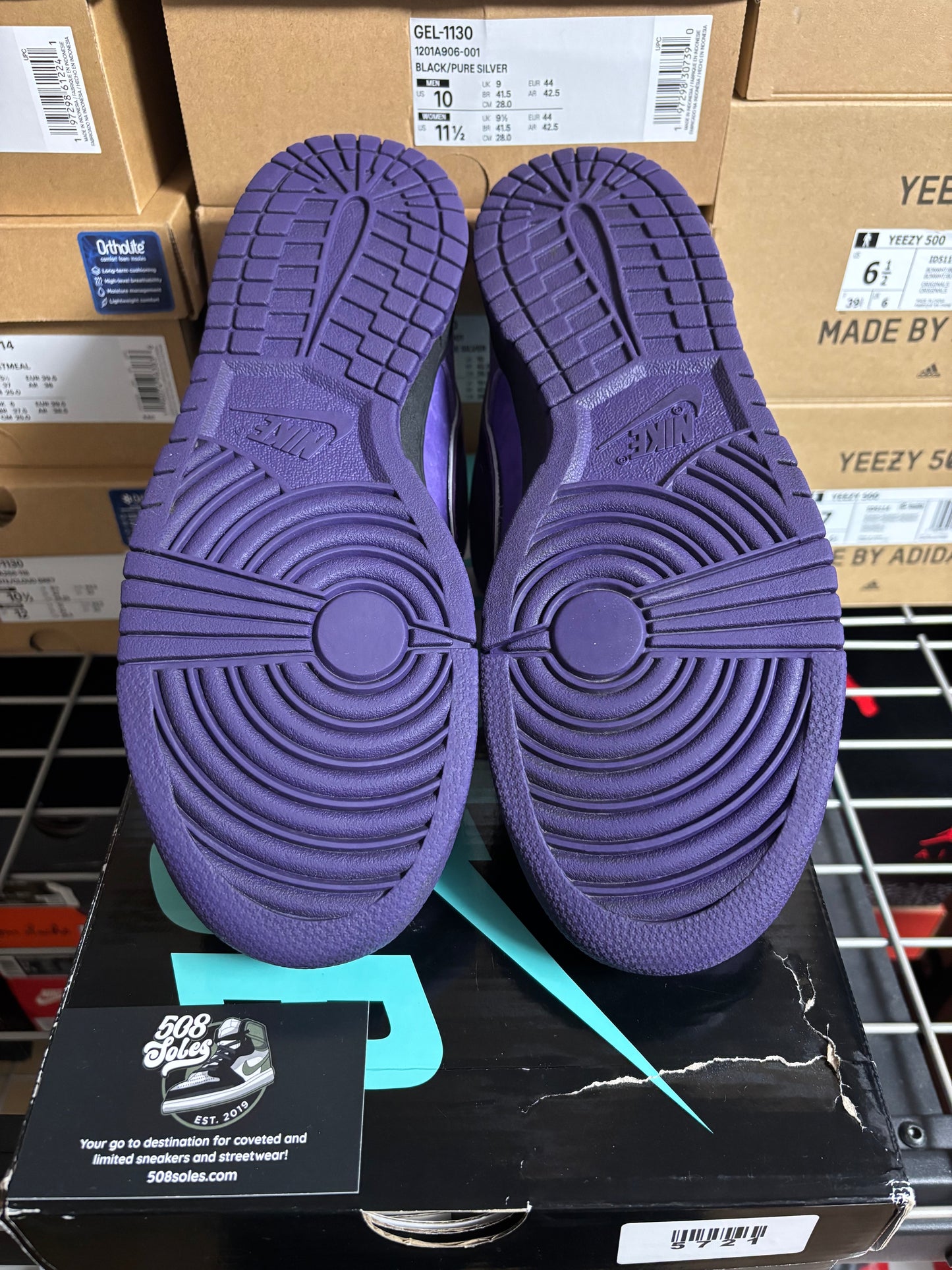 Concepts x Nike SB Dunk Low Purple Lobster Pre-Owned