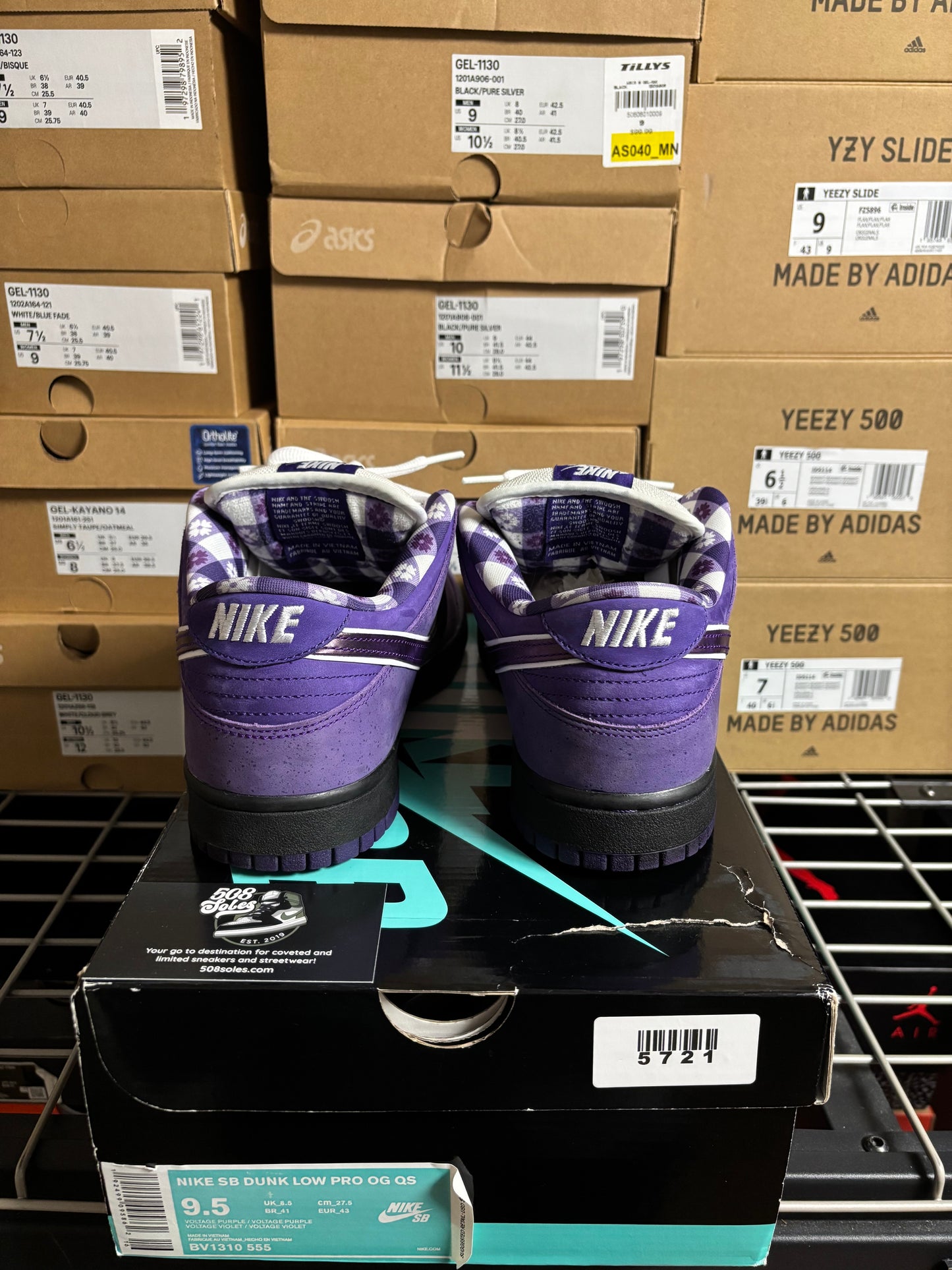 Concepts x Nike SB Dunk Low Purple Lobster Pre-Owned