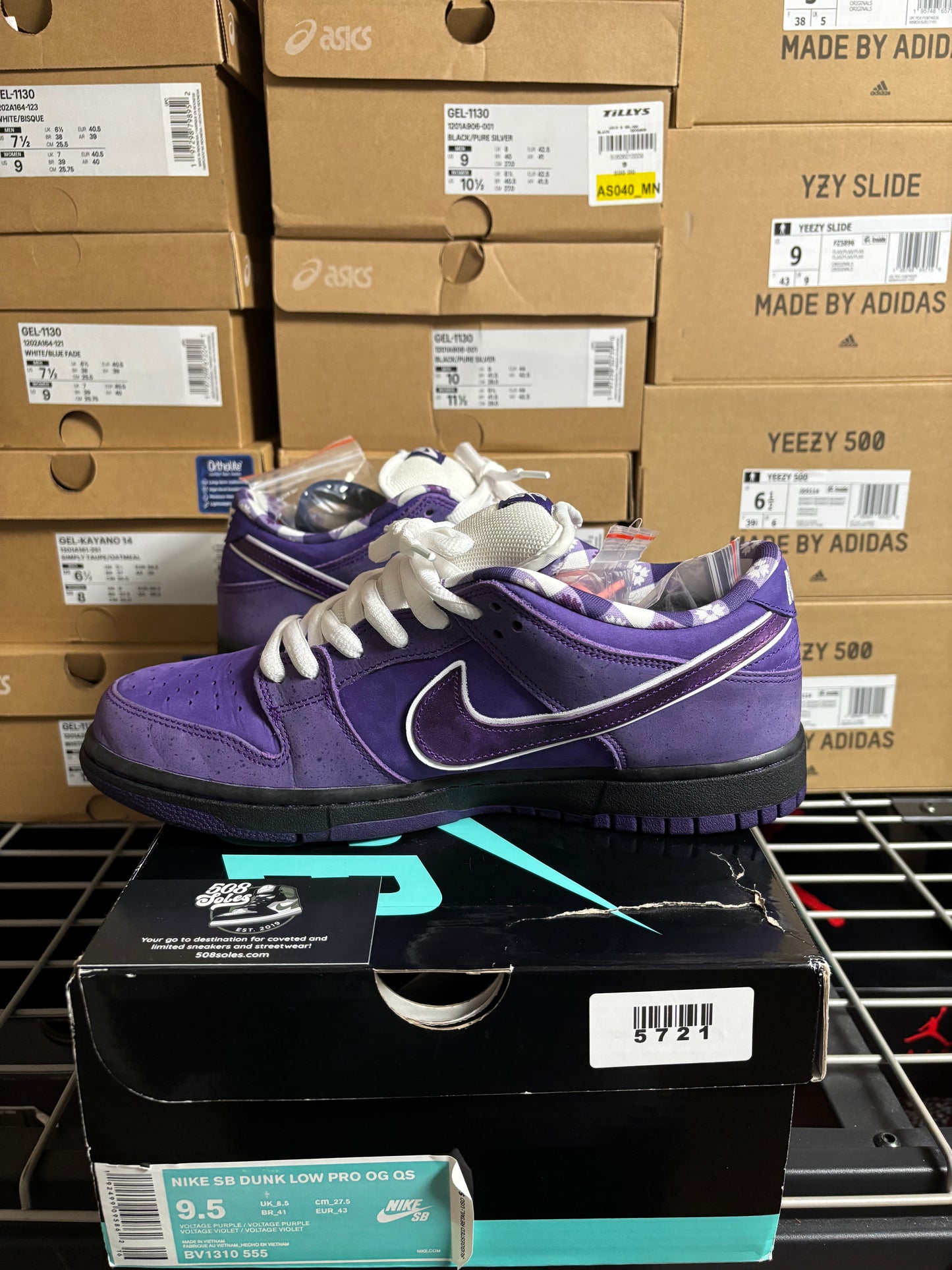 Concepts x Nike SB Dunk Low Purple Lobster Pre-Owned